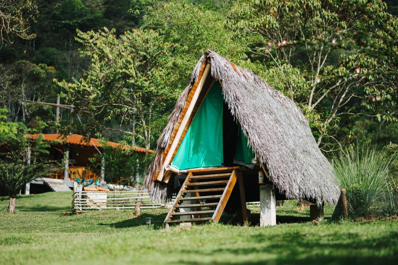 La Perla Negra - Black Pearl Eco * San Rafael (Antioquia)
