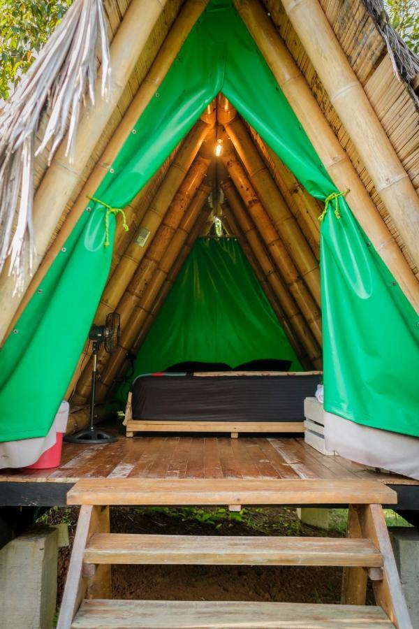 La Perla Negra - Black Pearl Eco Guest house *