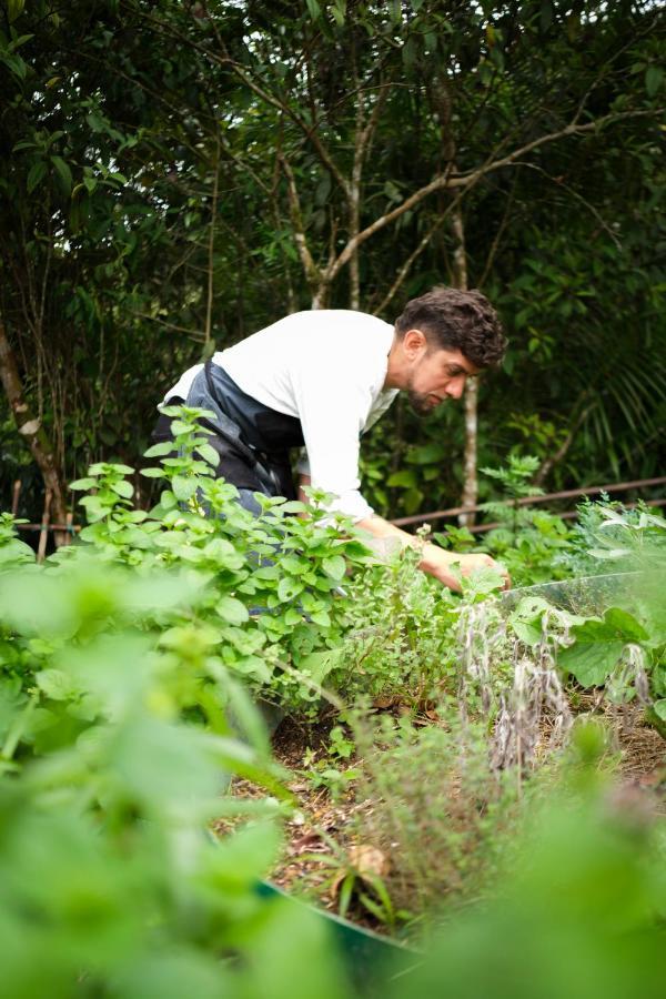La Perla Negra - Black Pearl Eco Guest house San Rafael (Antioquia)