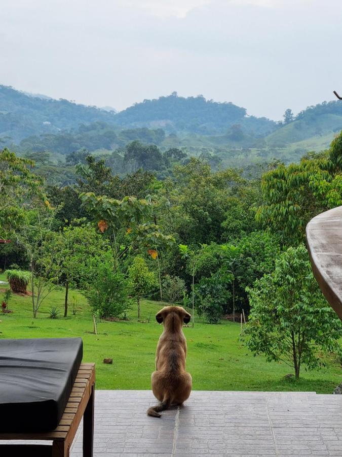 La Perla Negra - Black Pearl Eco * San Rafael (Antioquia)
