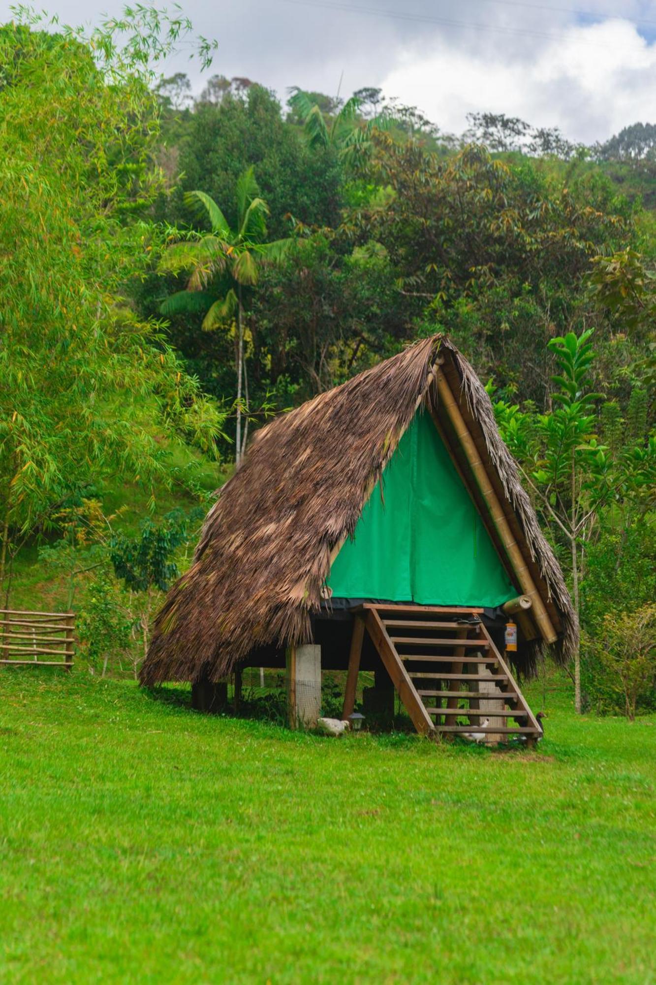 La Perla Negra - Black Pearl Eco * San Rafael (Antioquia)